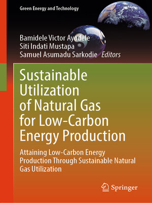 cover image of Sustainable Utilization of Natural Gas for Low-Carbon Energy Production